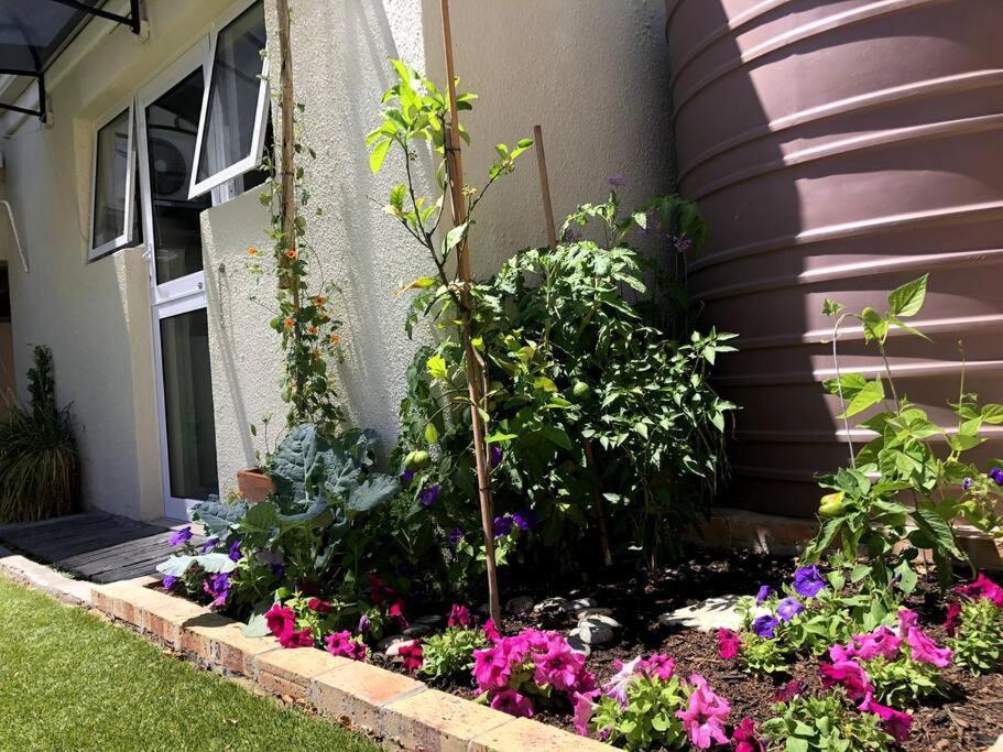 Deep South Rumah Appartement Le Cap